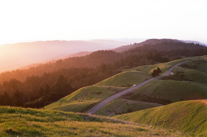 A winding road cuts through rolling green hills with a forest and hazy mountains in the background during golden hour.