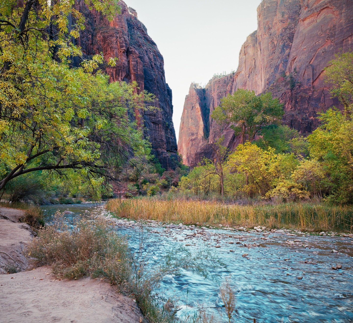 A river flows through a canyon with tall rock walls and trees with green and yellow foliage.