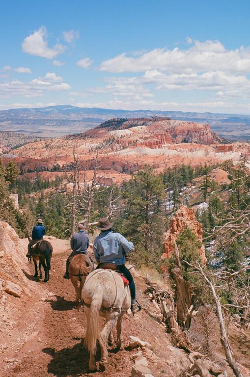 Three men on horseback ride along a dirt path overlooking a vast canyon landscape with red rock formations and scattered pine trees.