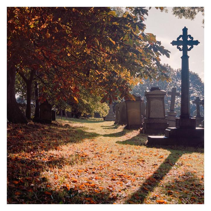 Sunlight illuminates autumn leaves on the ground and a tree in a cemetery with gravestones.