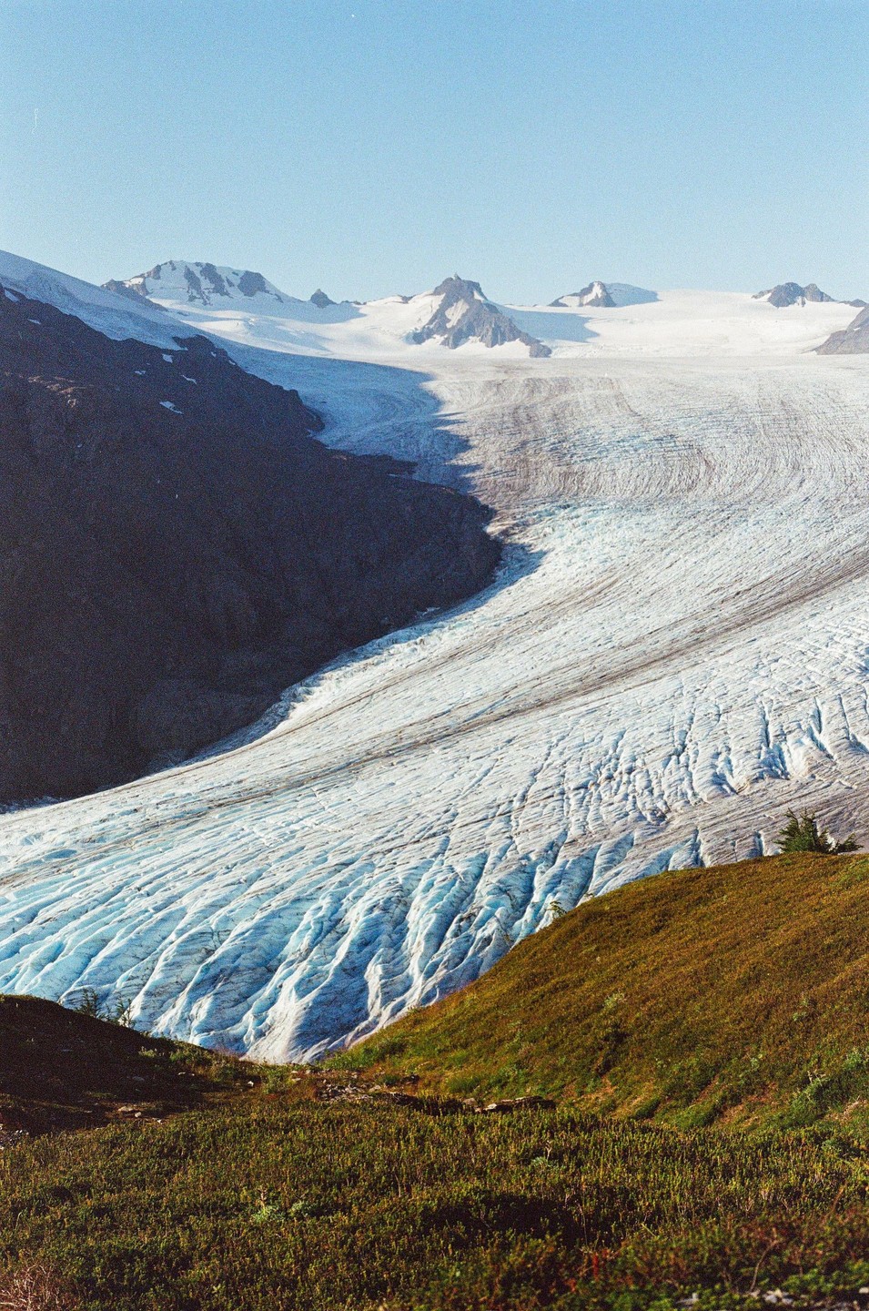 A large glacier with visible crevasses flows between a dark mountain and a grassy hill under a clear sky.