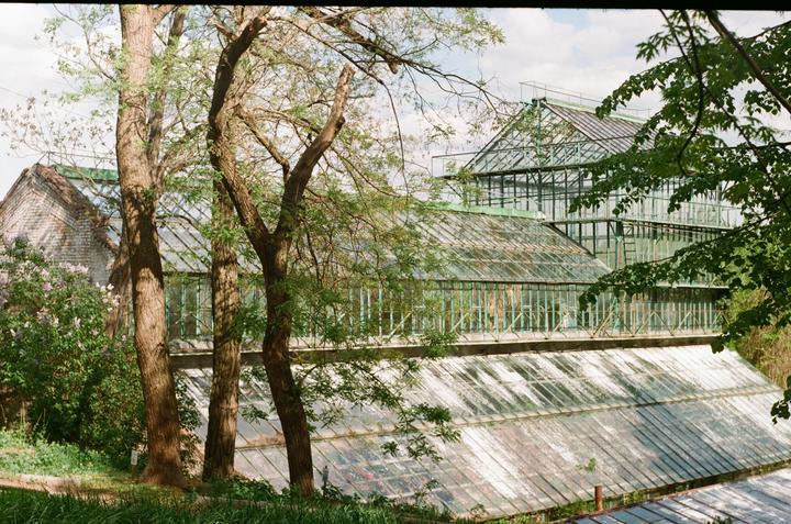 A large greenhouse complex with multiple glass structures is partially obscured by trees and foliage.
