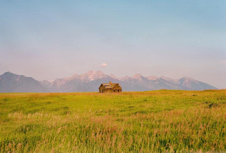 An abandoned wooden cabin stands in a field of tall grass with mountains in the background.