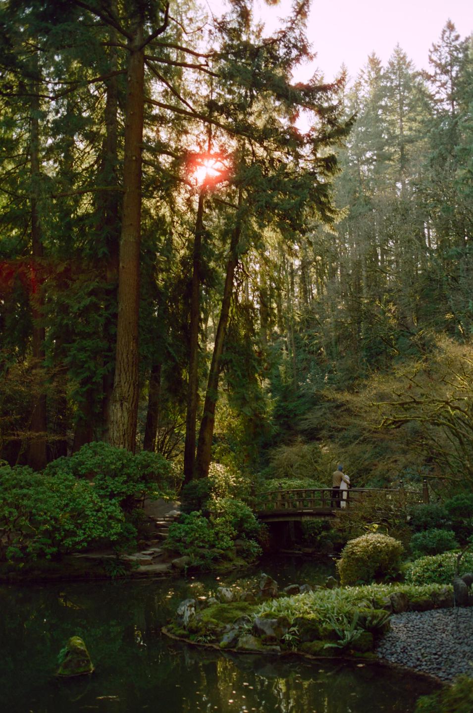 A couple stands on a wooden bridge over a pond in a lush garden with tall trees and sunlight shining through the leaves.