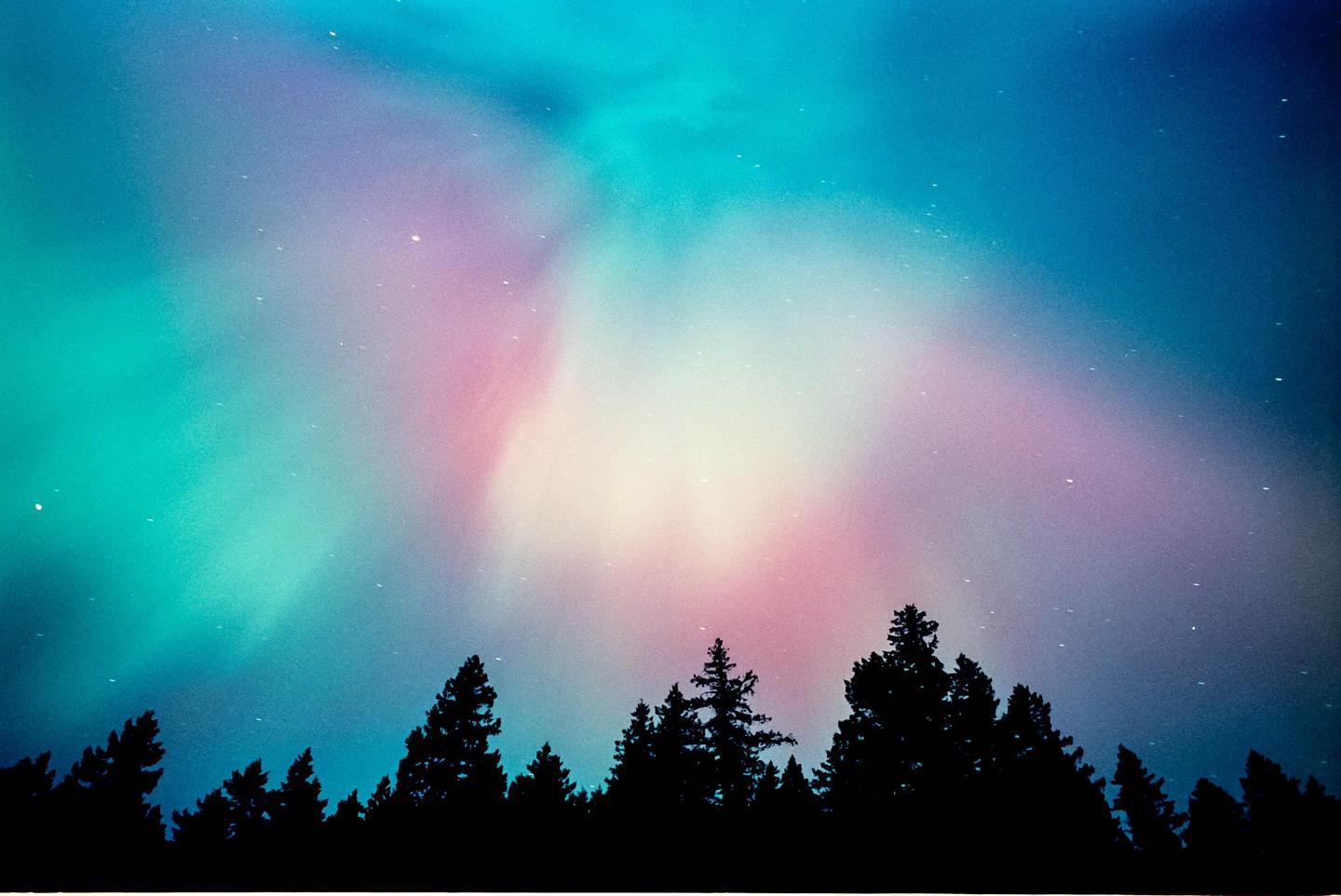 The aurora borealis glows in shades of pink, blue, and green above a dark forest.