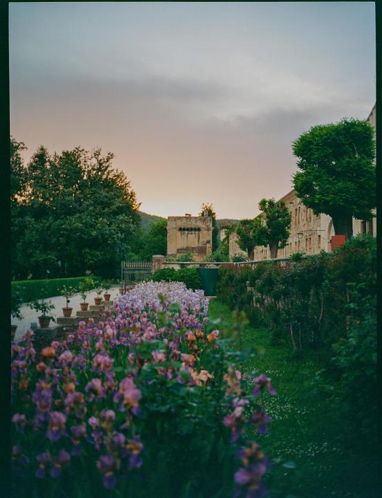 A garden with rows of purple and pink flowers leads to a stone building under a sunset sky.