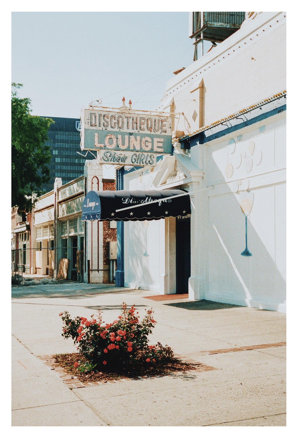 A neon sign for a discotheque lounge and showgirls is visible above a building with a dark awning and a rose bush in the foreground.