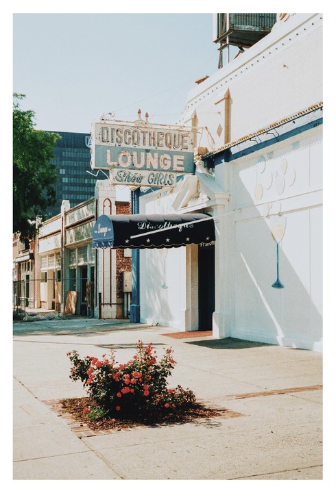 A neon sign for a discotheque lounge and showgirls is visible above a building with a dark awning and a rose bush in the foreground.