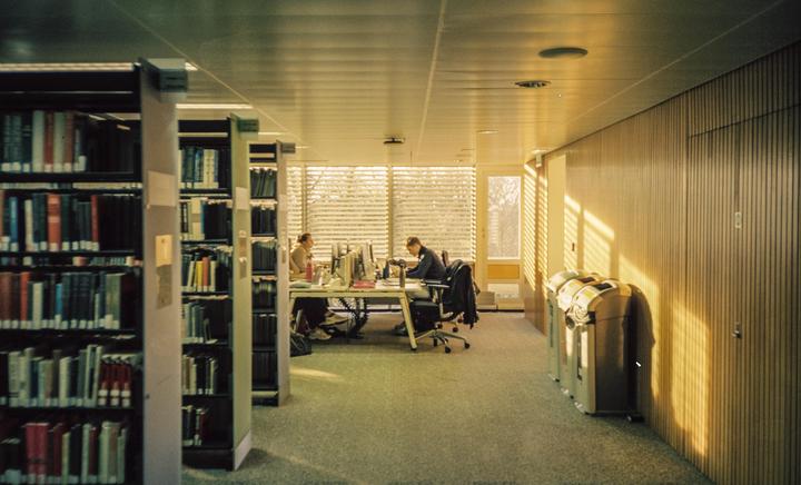 Two people sit at desks in a library with rows of bookshelves and sunlight streaming through a window.