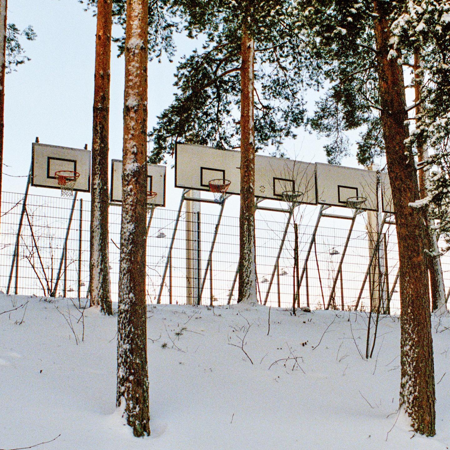 A row of basketball hoops is visible behind a snowy hill and several pine trees.