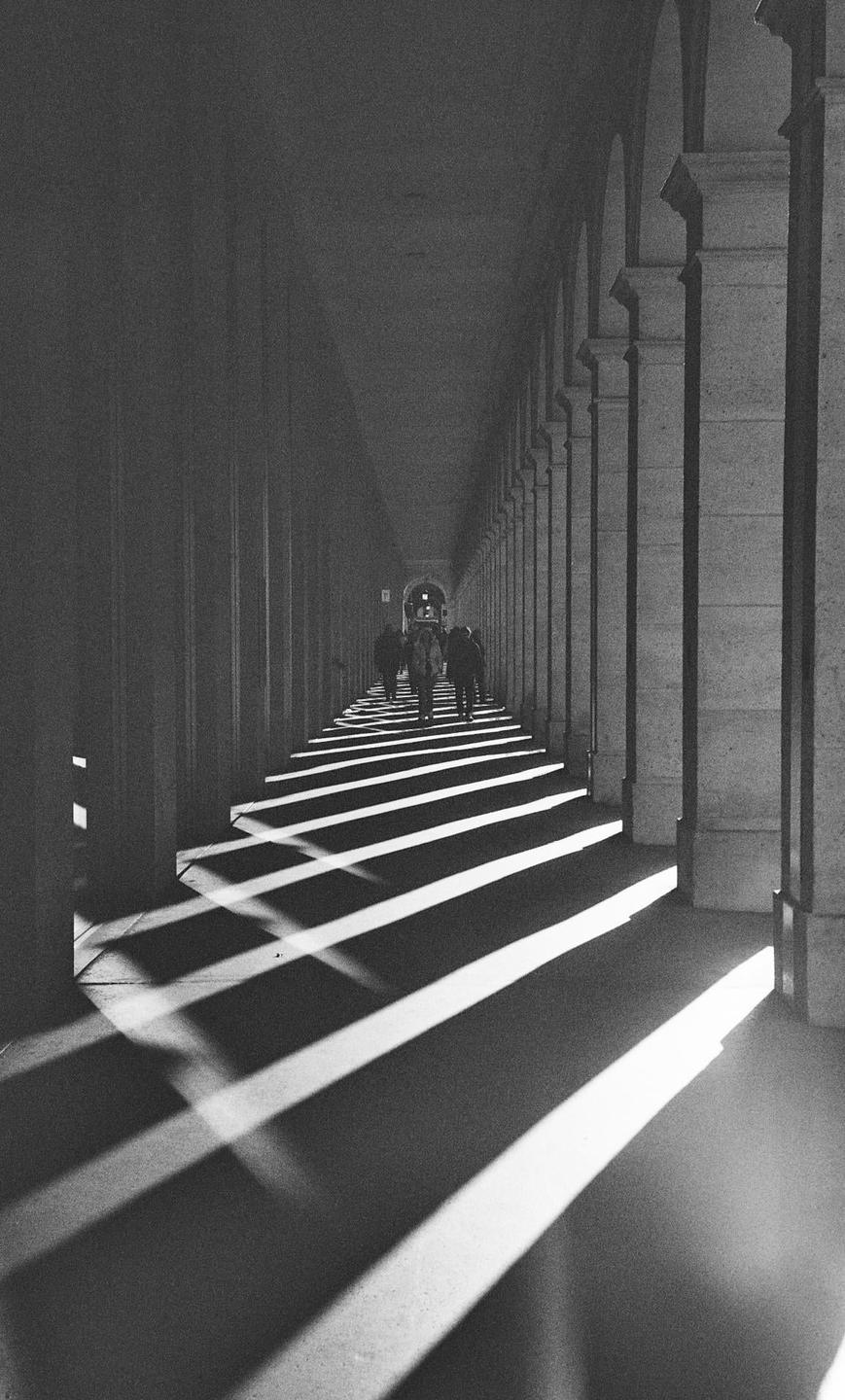 A group of people walk down a long, arched hallway with strong shadows cast across the floor.