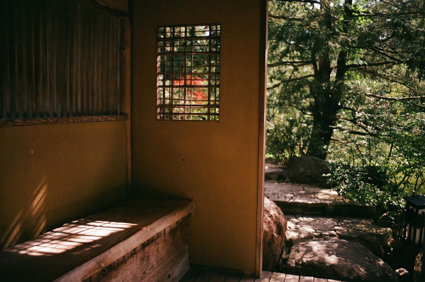 Sunlight streams through a window and an open doorway into a room with a wooden bench.