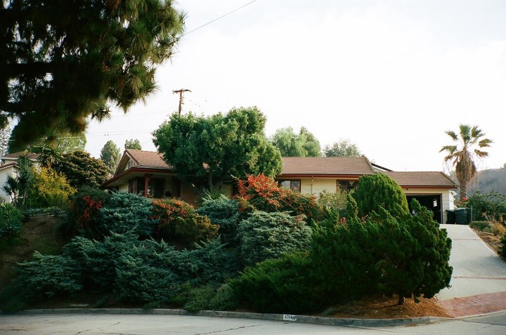 A house with a brown roof is surrounded by lush green and red foliage, with a palm tree visible on the right.