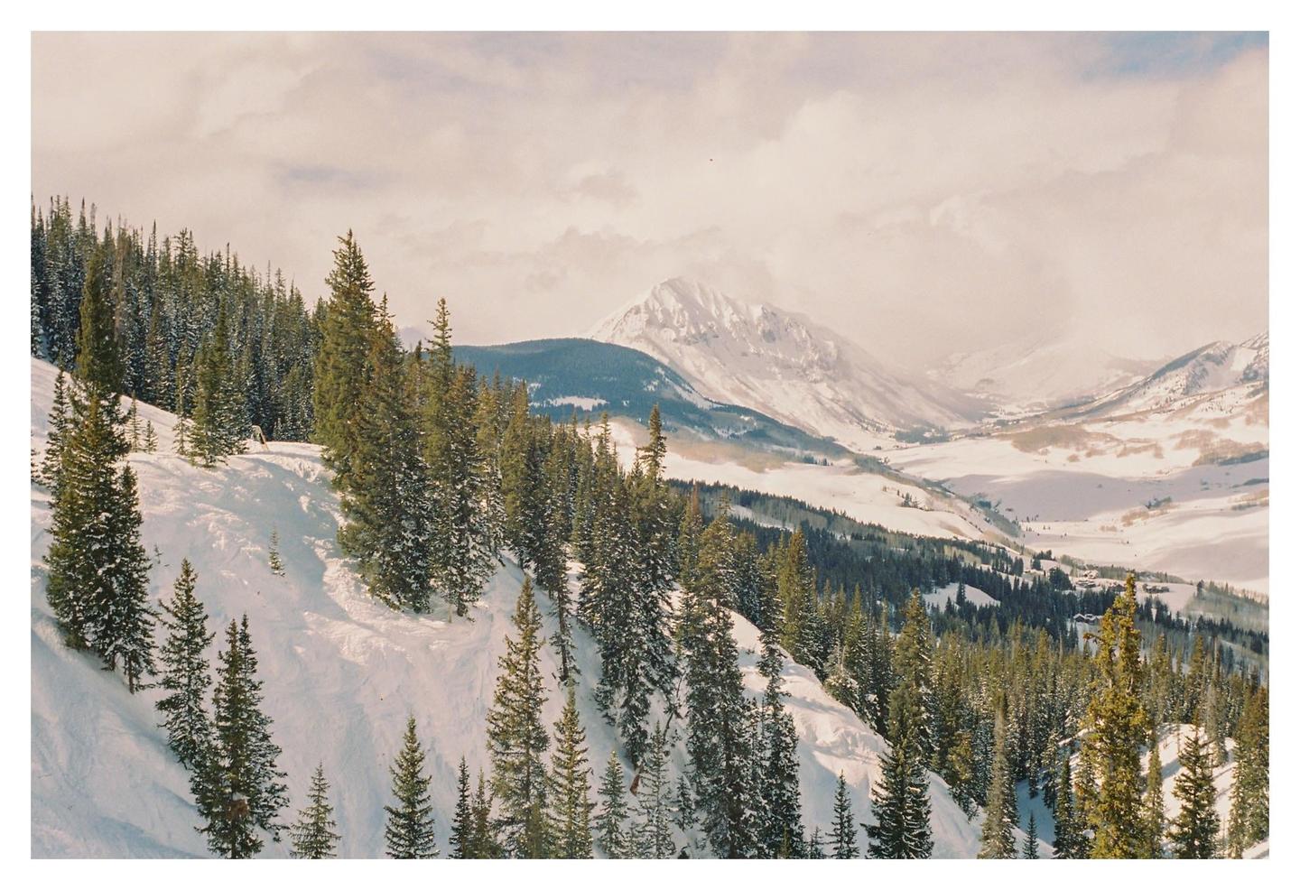 A snow-covered mountain slope with pine trees descends into a valley with distant mountains under a cloudy sky.