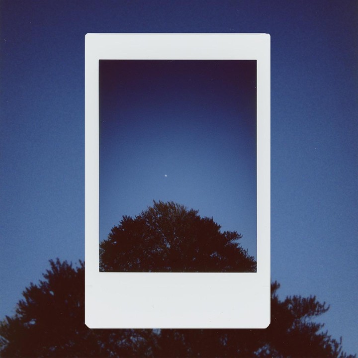 A white instant photo frame shows a tree and a bright moon against a blue sky, with more trees visible outside the frame.