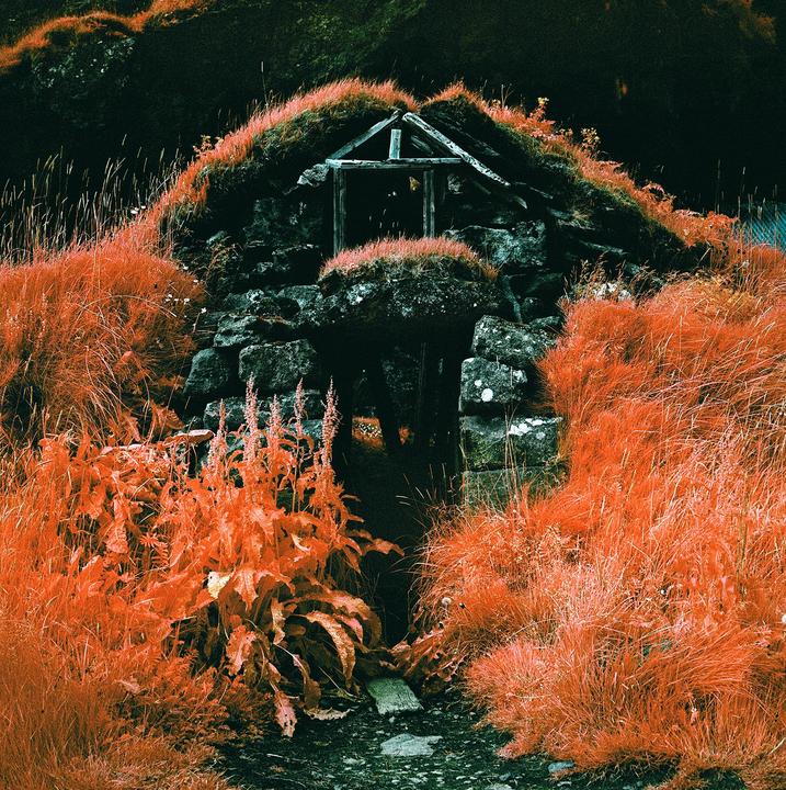 A small turf house with a stone base is surrounded by bright orange grass and plants.