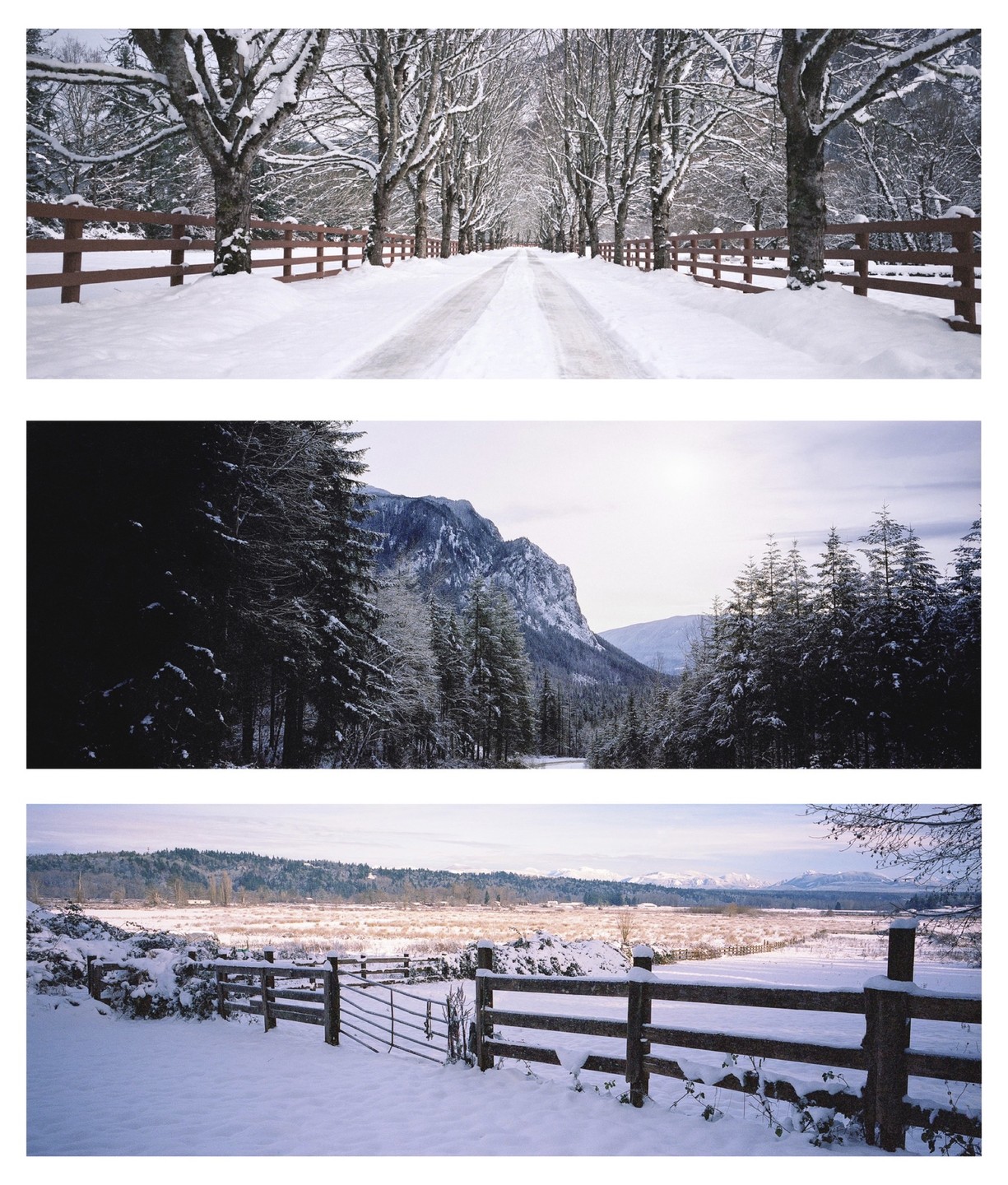 Three landscape images show a snow-covered road lined with trees and a fence, a mountain range with evergreen trees, and a snowy field with a wooden fence and gate.
