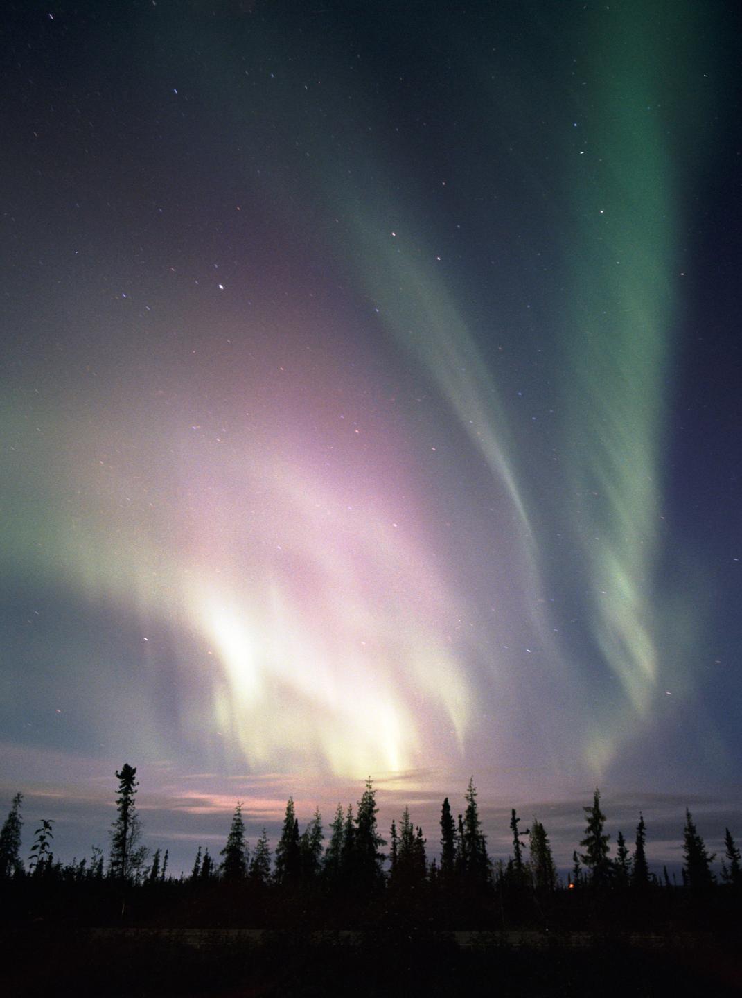 The aurora borealis glows green and purple above a dark forest at night.