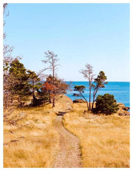 A narrow path winds through dry grass and trees towards a bright blue body of water under a clear sky.