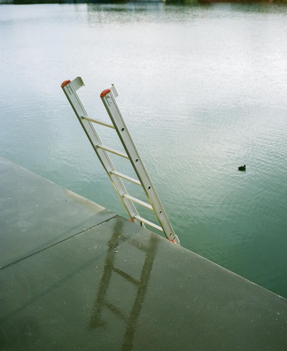 A metal ladder extends from a dark green dock into the water, where a duck swims.