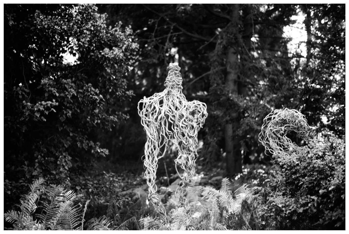 A wire sculpture of a human figure stands among ferns and trees in a forest.