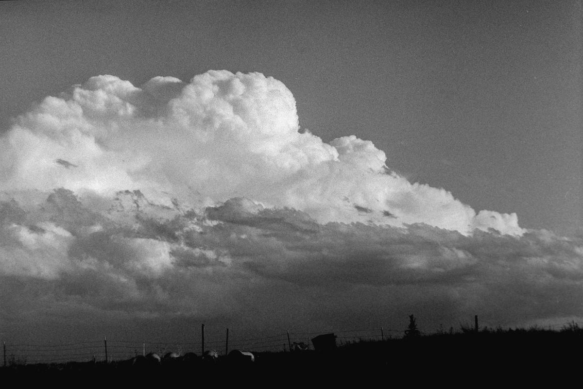A large cumulus cloud dominates the sky above a silhouetted landscape with a fence and distant hills.