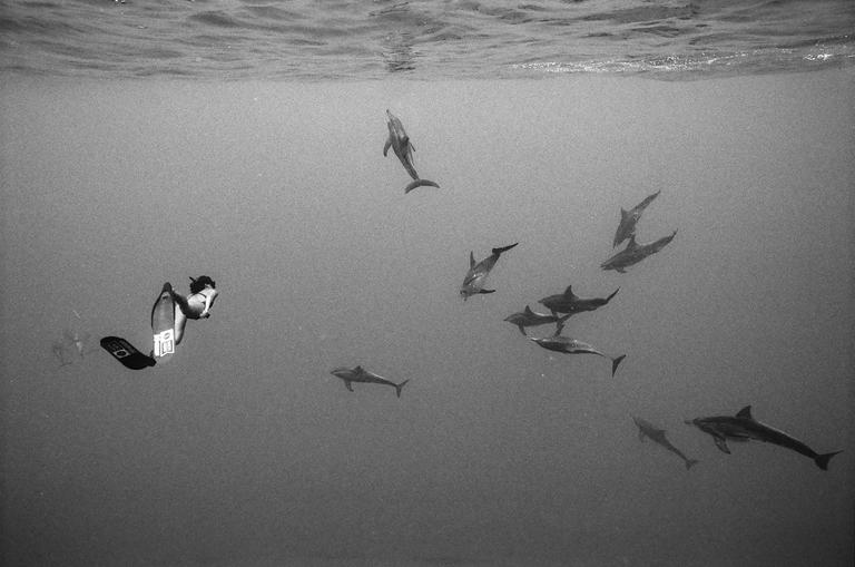 A woman in a swimsuit and fins swims underwater with a pod of dolphins.