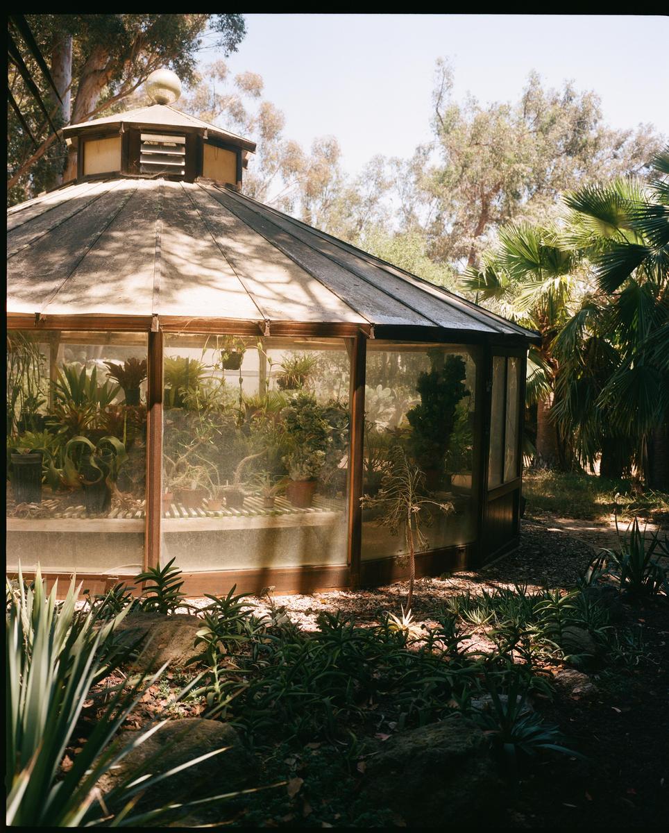 A wooden greenhouse filled with plants is surrounded by lush foliage and trees.