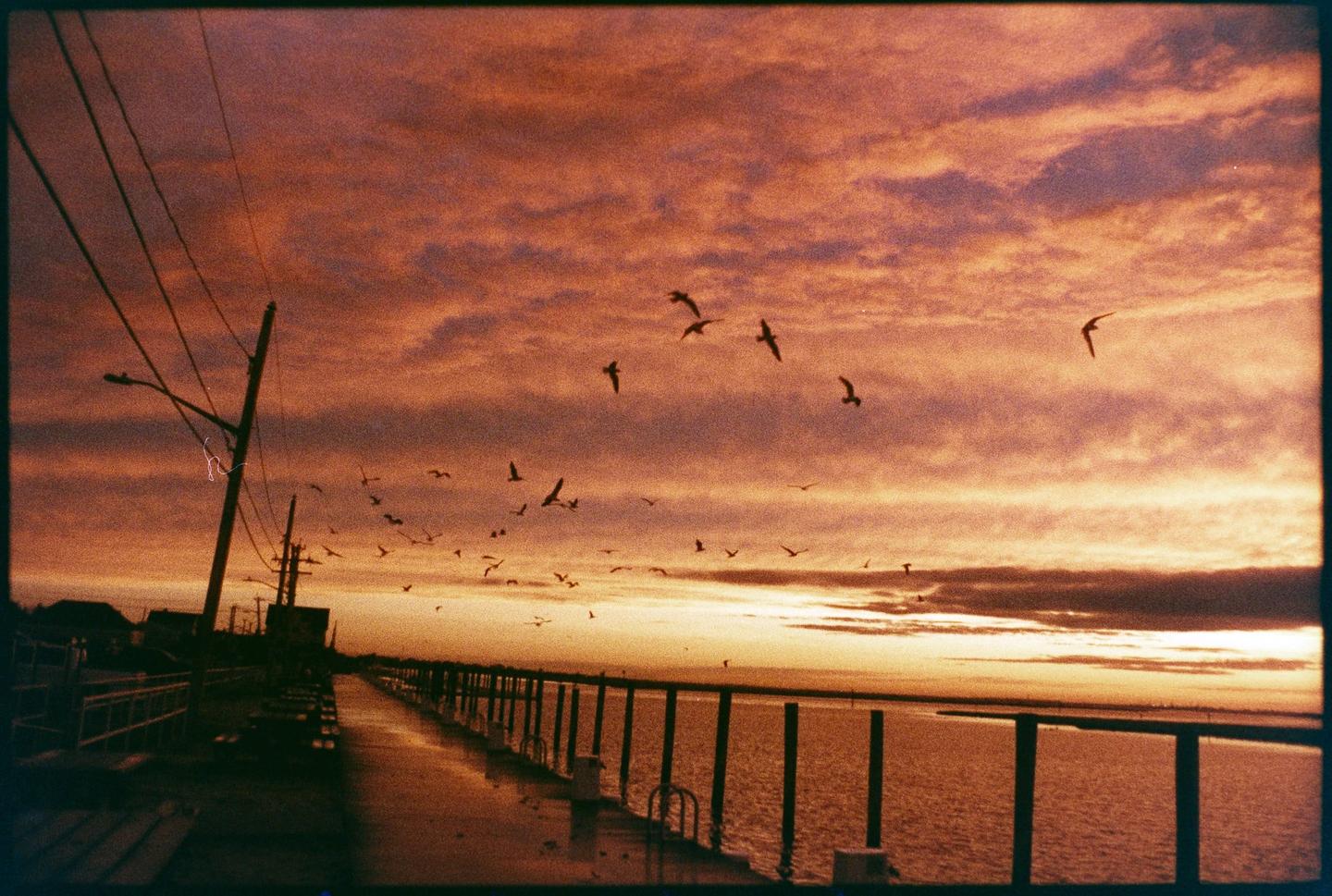 A flock of birds flies over a body of water next to a pier at sunset.