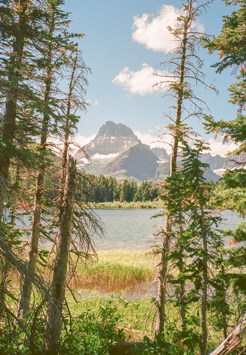 A lake is visible through a dense forest with a mountain in the background.