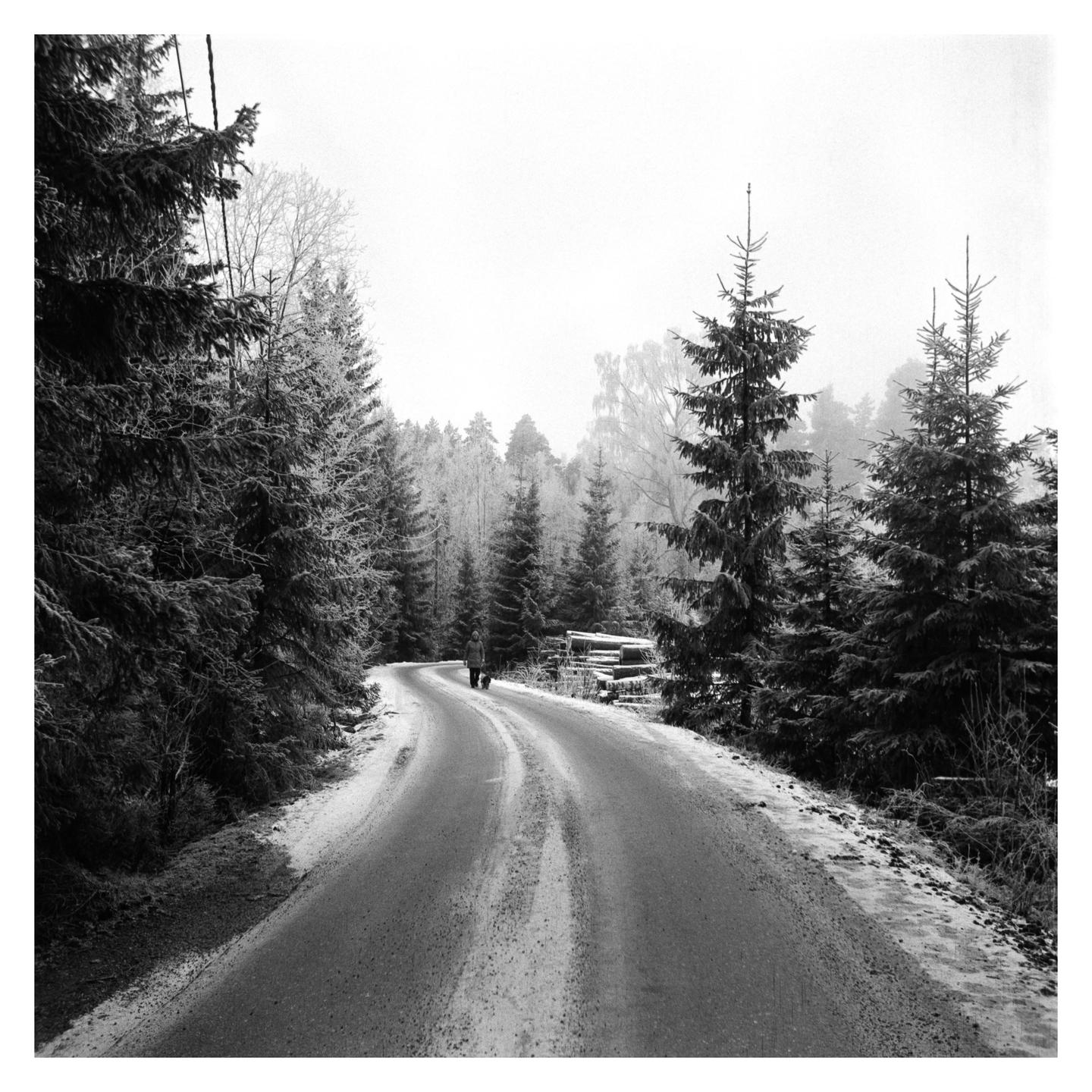 A person walks along a winding road through a snow-covered forest.
