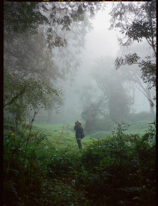 A woman stands in a lush, green, foggy forest, holding a camera to her face.