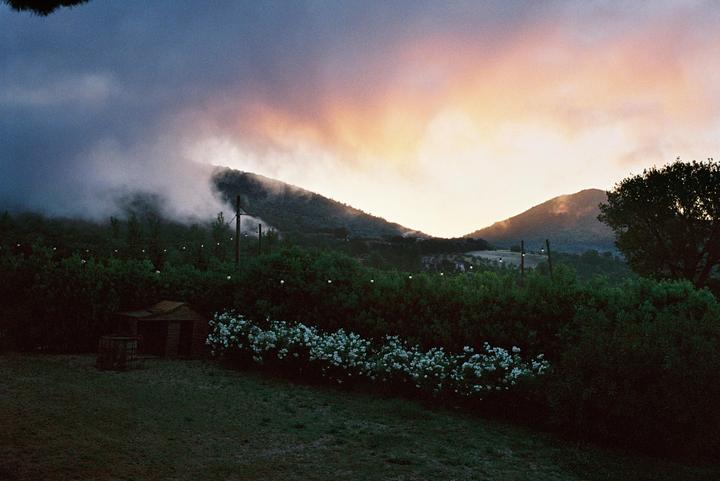 A hazy mountain landscape with string lights and a flowering bush is visible at dusk.