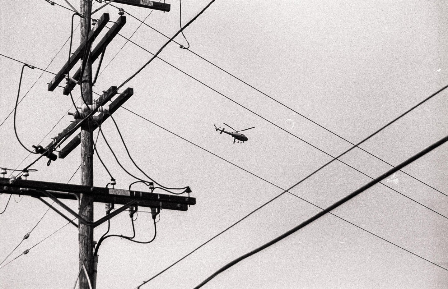 A helicopter flies in the sky behind a utility pole and power lines.