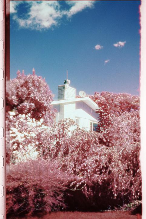 A white house with a chimney and satellite dish is surrounded by pink foliage under a blue sky with white clouds.