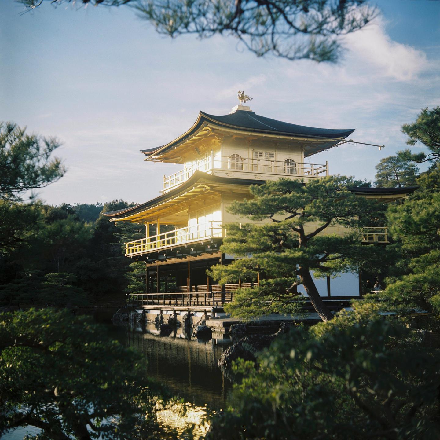A golden temple with multiple tiers and a bird statue on its roof is reflected in a body of water, surrounded by lush green trees.