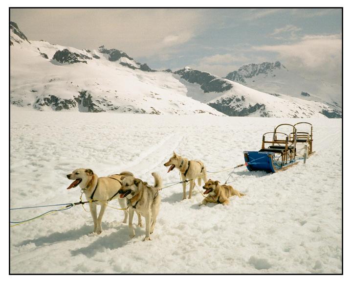 Four dogs are harnessed to a sled in a snowy mountain landscape.