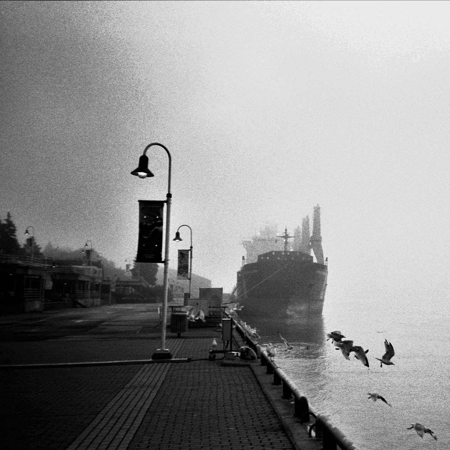 A large ship is docked at a pier with birds flying over the water in the fog.