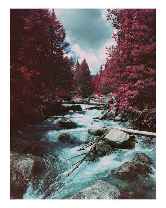 A river flows through a forest with pink trees under a cloudy sky.