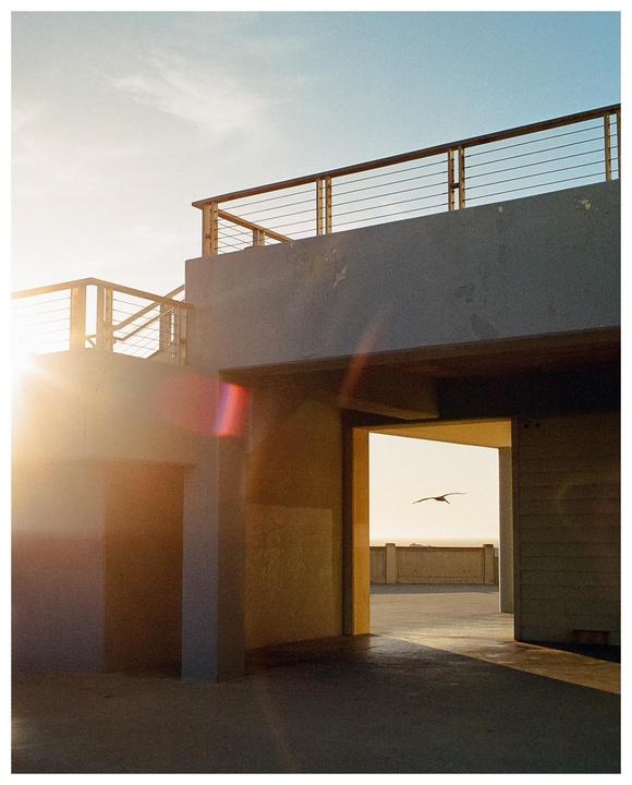 A bird flies through an opening in a concrete building at sunset.