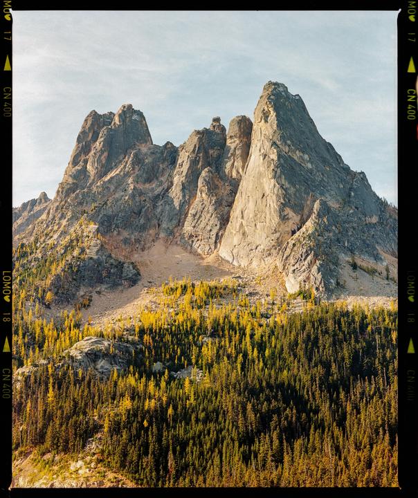 A mountain range with a forest of green and yellow trees at its base is shown.