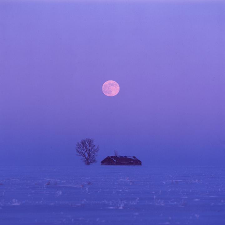 A full moon hangs in a purple sky above a snow-covered field with a bare tree and a small building.