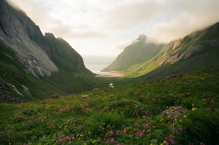 A valley filled with wildflowers leads to a body of water surrounded by mountains under a cloudy sky.