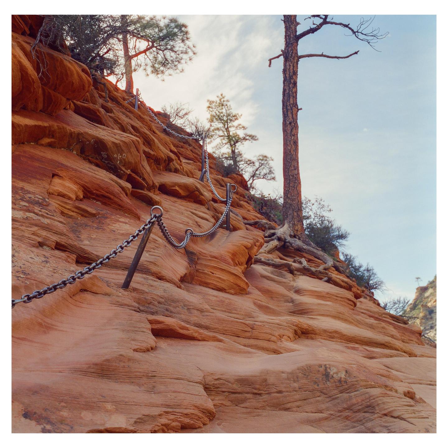 A chain handrail is bolted into a steep, rocky, orange cliff with a tree growing out of it.