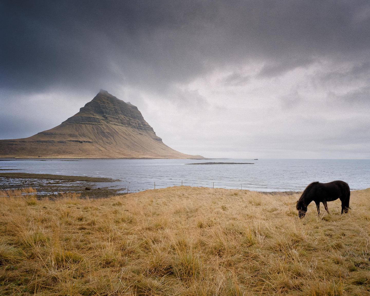 A horse grazes in a field with a mountain and ocean in the background under a cloudy sky.