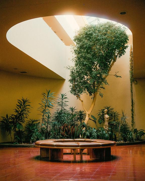 A large tree grows in an indoor atrium with a circular bench and a nude statue.