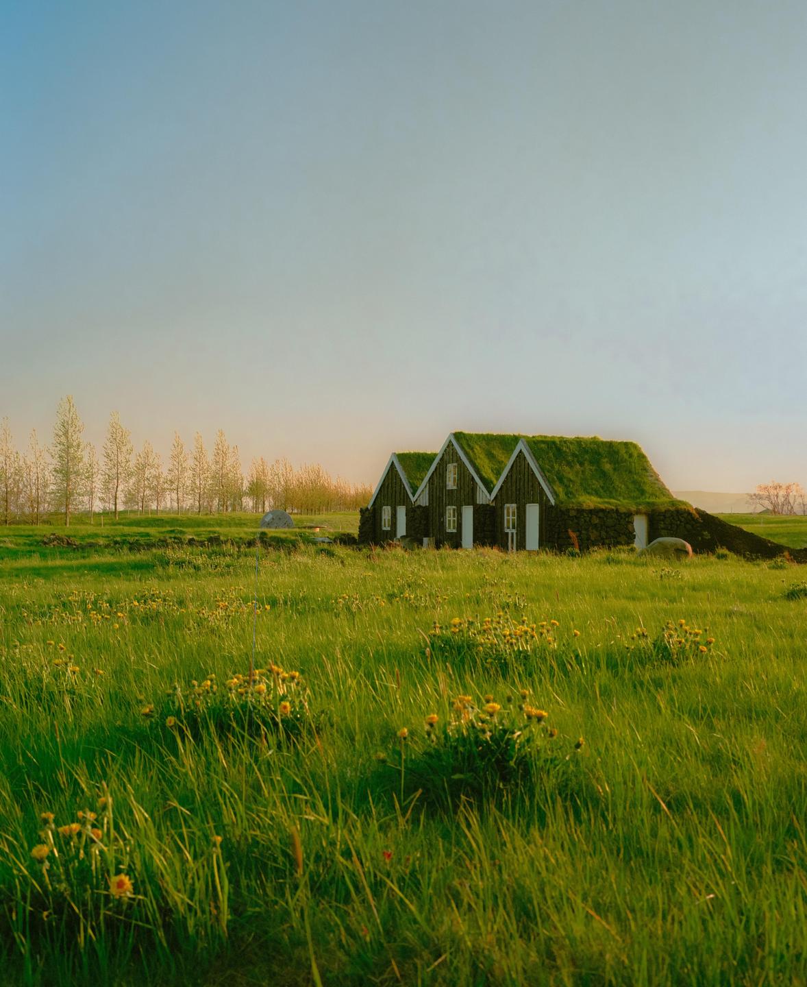 Two houses with grass roofs are nestled in a green field under a clear sky.