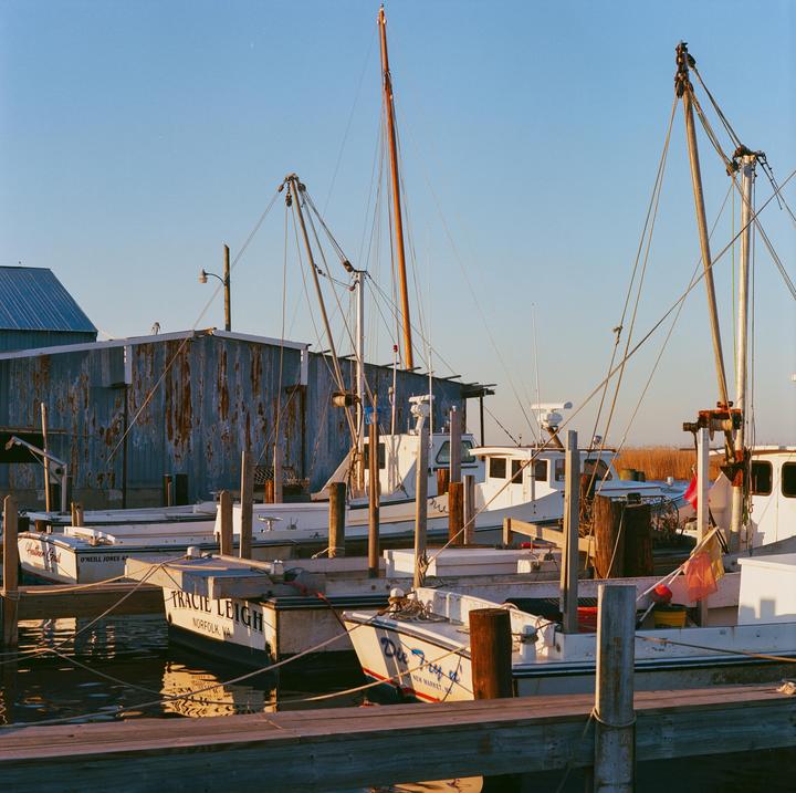 Several fishing boats are docked at a pier next to a weathered building under a clear sky.