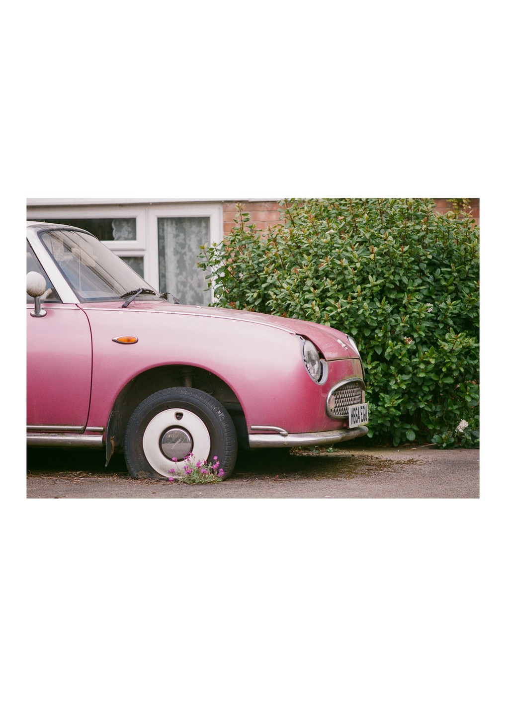 A pink car with a flat tire is parked next to a green bush and a brick building.
