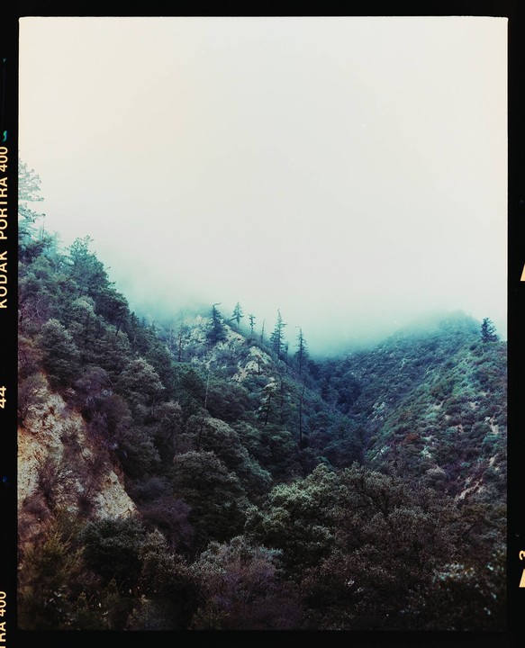 A lush, green mountain valley is shrouded in fog, with trees covering the slopes.